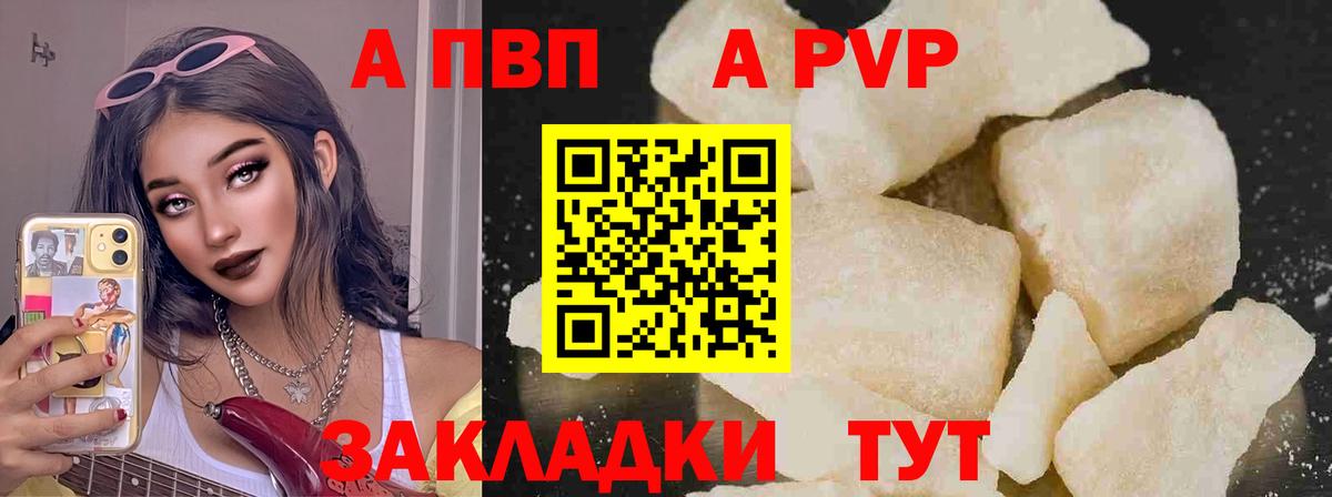 Alfa_PVP СК Кингисепп