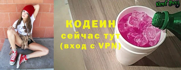 мдпв Протвино