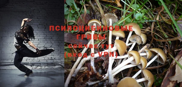 мдпв Протвино