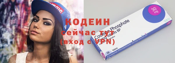 крисы Абаза