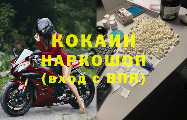 крисы Абаза