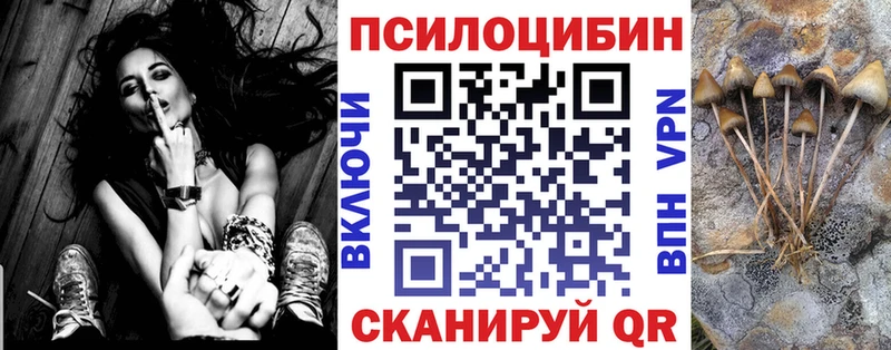 Псилоцибиновые грибы GOLDEN TEACHER  Кингисепп 
