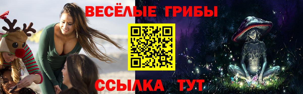 Галлюциногенные грибы MAGIC MUSHROOMS  Галлюциногенные грибы прущие грибы  Вход с VPN  Кингисепп 